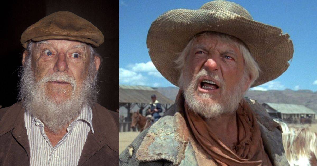 Denver Pyle Net Worth